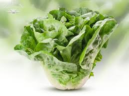 Image result for Römischer Salat