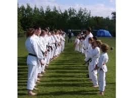 Image result for Kenshukai Karate