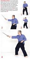 Image result for Sai Martial Arts