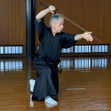 Image result for Kyoku Kenjutsu Kai
