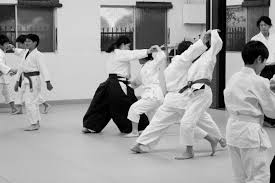 Image result for Sandokai Karate