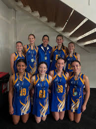 Image result for Waverley Netball Club