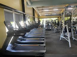 Image result for Flic Flac Gym Club, Eccleston