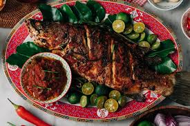 Image result for ikan