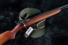 Image result for Winchester Home Guard Rifle & Pistol Club