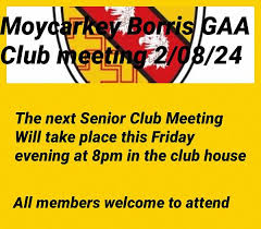 Image result for Moycarkey-Borris Gaa Club