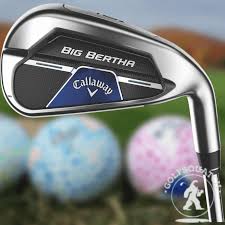 Image result for Callaway Badminton Club