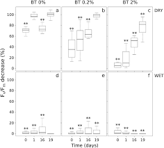 Attēlu rezultāti vaicājumam “Schistidium apocarpum stalked”