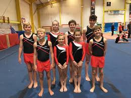Image result for Pinewood Gymnastics Club