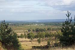 Image result for Bisley Allstars Football Club