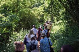 Image result for Norfolk Hillwalking Club