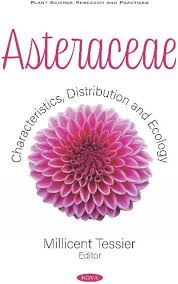 Attēlu rezultāti vaicājumam “Asteraceae”