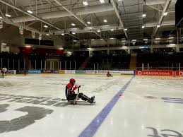 Image result for Cardiff Comets Ladies Ice Hockey
