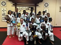 Image result for Hidden Dragon Karate-Do