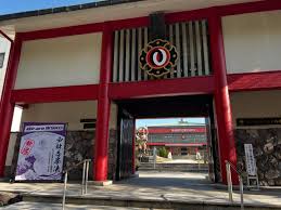 Image result for Tolworth Shorinji Kempo Branch