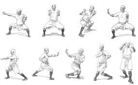 Image result for Hung Kuen School Of Shaolin Kung Fu