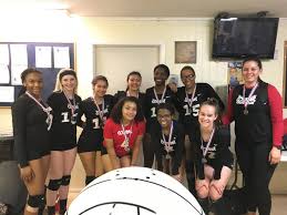 Image result for Chesterfield Cobras Volleyball Club