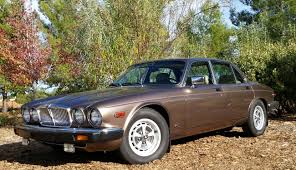 Image result for Antelope 1986 Jaguar