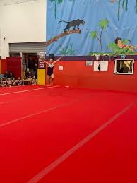 Image result for Arabian School Of Gymnastics, Milton Keynes