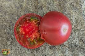 Afbeeldingsresultaat voor marizol purple tomato