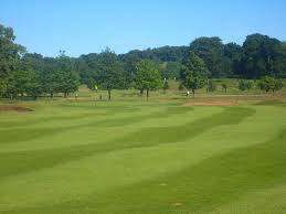 Image result for Belton Park Golf Club
