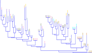 Image result for pfanzelt tehron