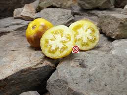 Afbeeldingsresultaat voor northern lights tomato