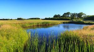 Image result for Cooden Beach Sports & Social Club