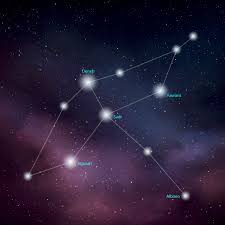 Attēlu rezultāti vaicājumam “Cygnus cygnus”