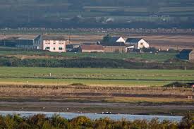 Image result for Braunton Football Club