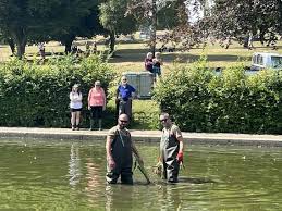 Image result for Chesham 1879