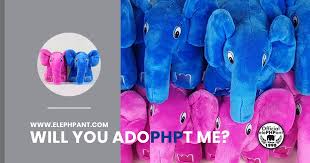 Image result for elephpant