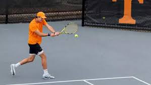 Image result for Walton Lawn Tennis Club