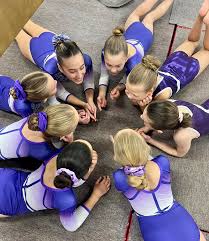 Image result for Vernon Park Gymnastics