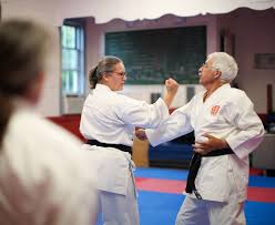 Image result for Windsor Karate Club