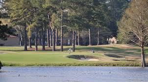 Image result for Feltwell Golf Club