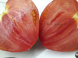 Afbeeldingsresultaat voor erdie family oxheart tomato