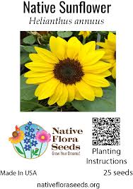 Image result for Helianthus annuus