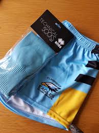 Image result for Elmbridge Eagles Rugby League Club