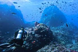 Image result for TAL Divers