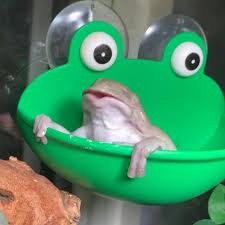 Image result for Bath Amphibians