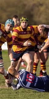 Image result for Westcliff Rugby Football Club