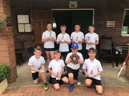 Image result for Pontblyddyn Cricket Club