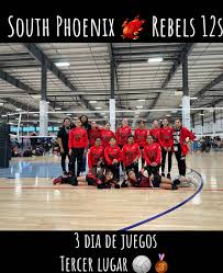 Image result for Delta Reds Netball Club