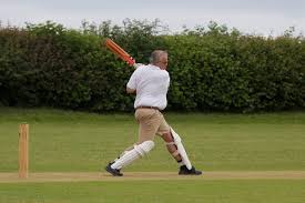 Image result for Chew Magna Cricket Club