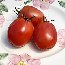 Afbeeldingsresultaat voor amish paste tomato