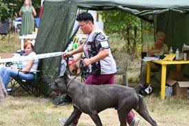 Image result for site:buyreklama.ru/*