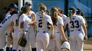 Image result for Lions Softball Club
