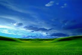 Image result for love windows xp wallpaper