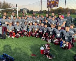 Image result for Herdings Park Football Club